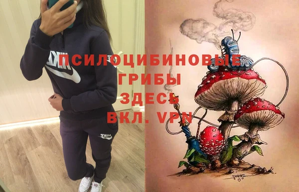 СК Инсар
