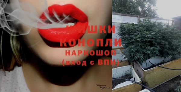 СК Инсар