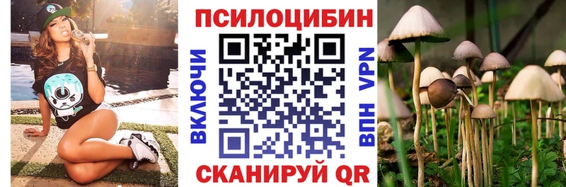 Купить Дзержинск Галлюциногенные грибы прущие грибы